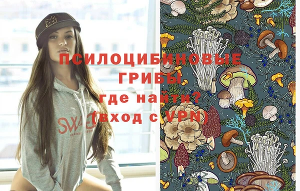 гидропоника Абинск